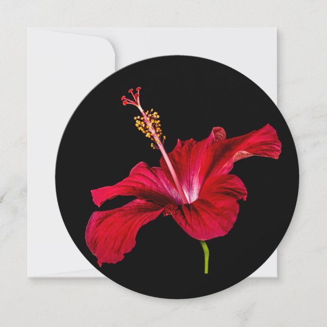 Convites Vista do Lado do Flor Red Hibiscus (Frente)