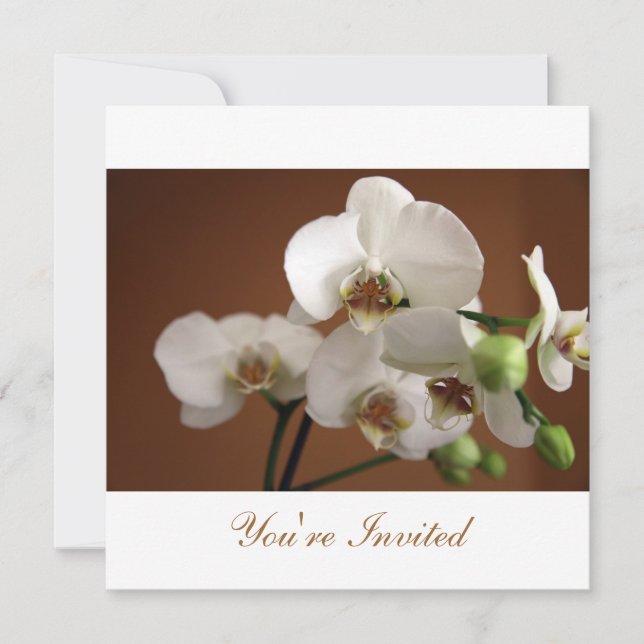 Convites Você é Convidado (Frente)