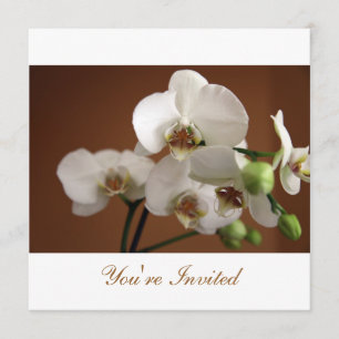 Convites Você é Convidado