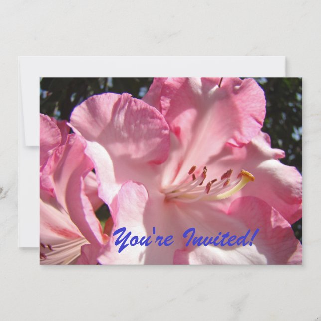 Convites Você está convidado! Até À Festa!convites (Frente)