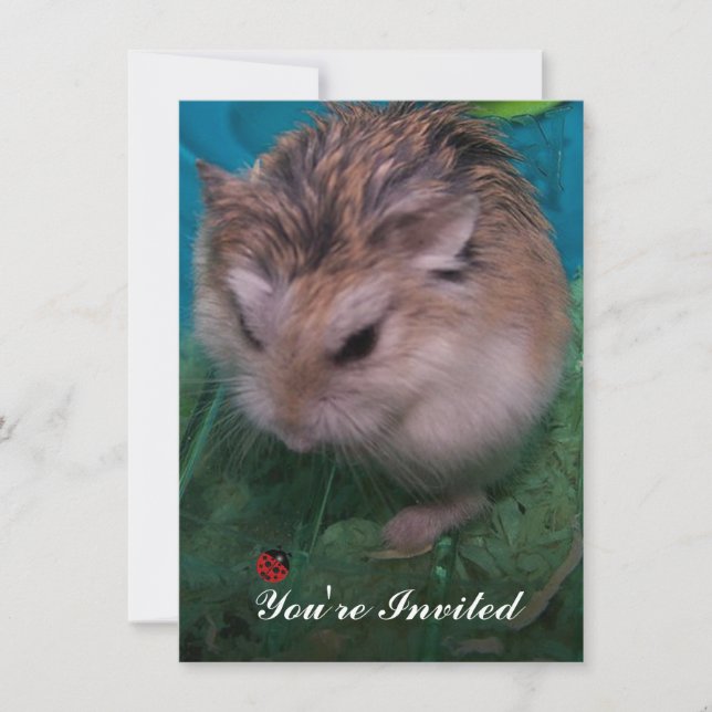 Convites Você foi convidado (Frente)