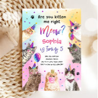 Você Me Gatinha Miúda De Gato?