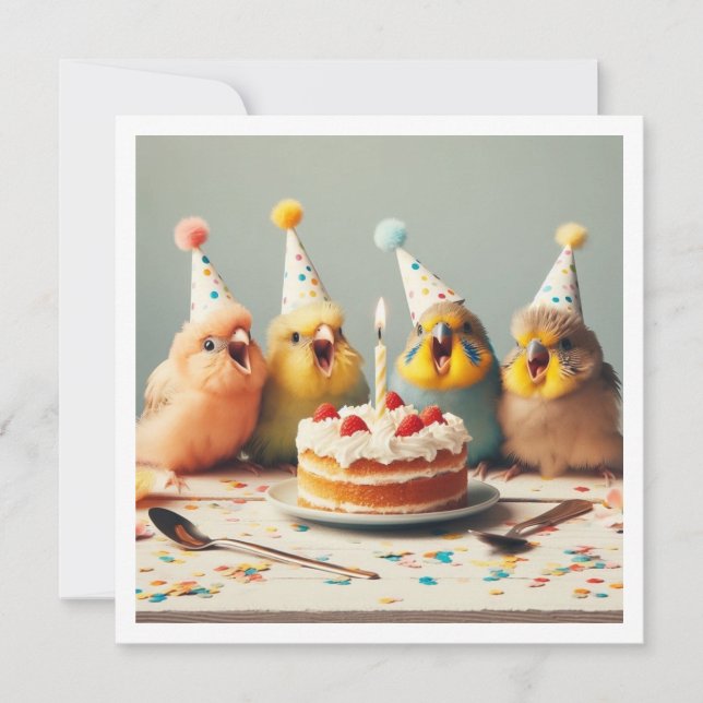 Convites Voe para cima! Aniversário de periquito, aniversár (Frente)