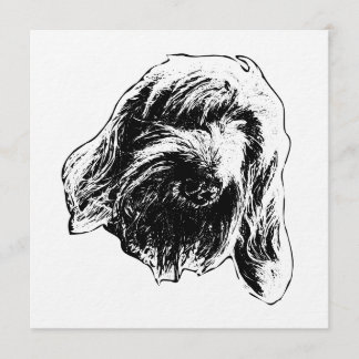 Convites Warm Spinone Gathering