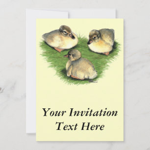 Convites Welsh Harlequin Ducklings