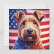 Welsh Terrier Com Bandeira Americana E Bandana
