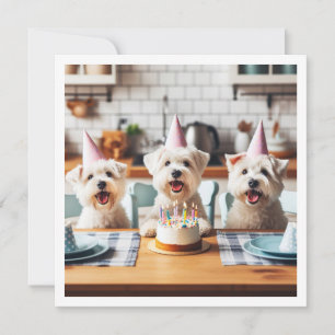 Convites White terrier card, aniversário White terrier