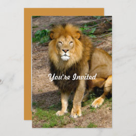 Convites Wildlife African Lion Sitting Photo Birthday