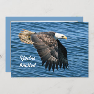 Convites Wildlife Bald Eagle Foto Birthday
