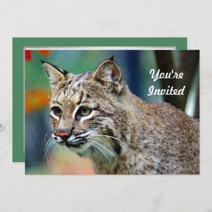 Convites Wildlife Bobcat Photo Birthday
