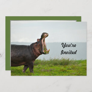 Convites Wildlife Hippopotamus Foto Birthday