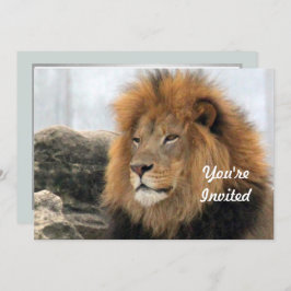 Convites Wildlife Lion Photo Birthday