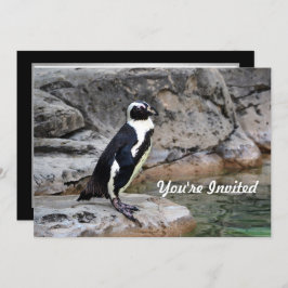 Convites Wildlife Penguin Photo Birthday