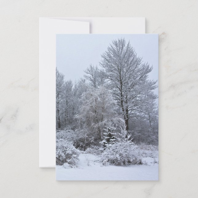 Convites Windsor Winter White Christmas (Frente)