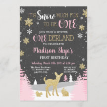 Winter ONE Derland First Birthday Snow Muito Diver