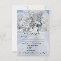 Winter Wonderland Dream Weding RSVP Card