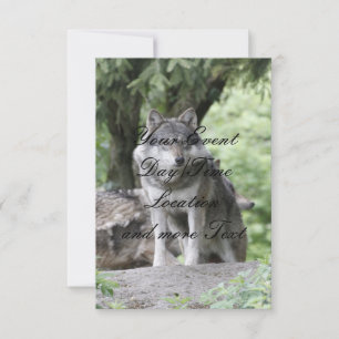 Convites Wolf 14AJ