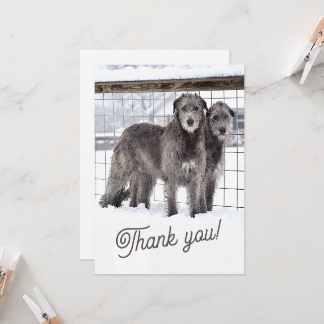 Convites Wolfhounds irlandês na neve (Frente/Verso In Situ)