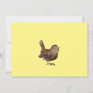 Convites Wren Bird (Troglodytes Troglodytes) cantando