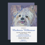 CONVITES YORKIE PUPPY BRANCO DOCE DESEJA FELIZ ANIVERSÁRIO<br><div class="desc">Esse doce e adorável White Yorkie Puppy te dá as boas vindas a uma Festa de aniversário divertida para você e para você, seja para adultos ou crianças. Um convite único para aniversários de qualquer idade! - imagem do criador da pintura de aquarela original. Todo o convite pode ser personalizado...</div>