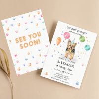 Yorkshire deixa o cão pawty puppy pinto