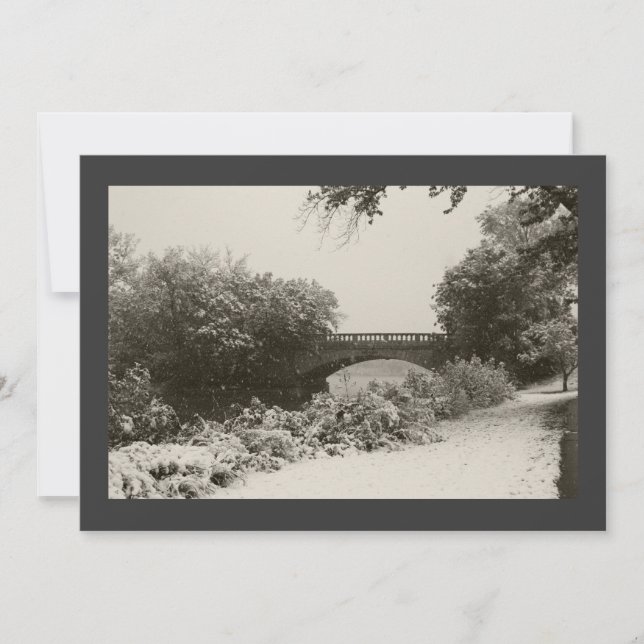 Convites Zen Winter Snowfall II (Frente)