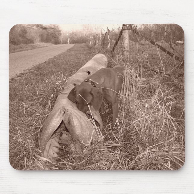 Coonhound Mousepad de Redbone (Frente)