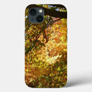 Cópias de Folhas I Amarelo Autumn