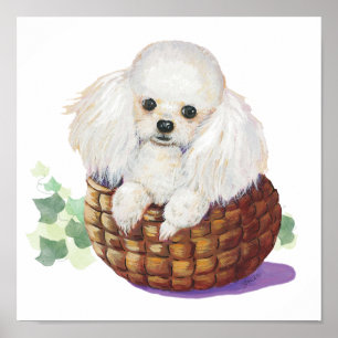 Copo branco de poodle em Impressão de cesta