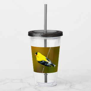 Copo De Acrílico American Goldfinch - Fotografia original