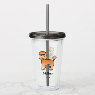 Copo De Acrílico Apricot Toy Poodle Cute Cartoon Cachorro e Nome