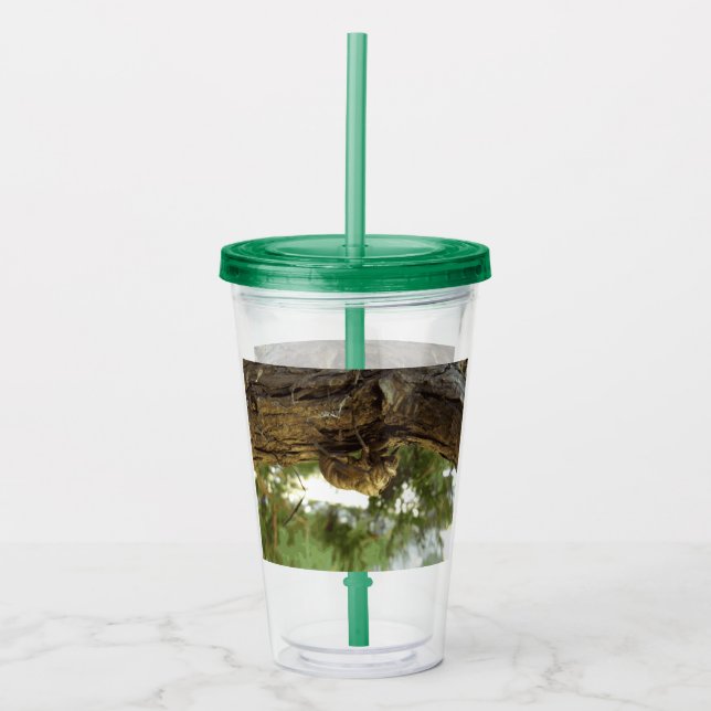 Copo De Acrílico Concha de Cicada. Estava com pressa. (Frente)