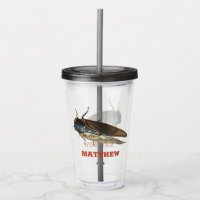 Foto do Inseto de Cicada, Insetos Personalizados