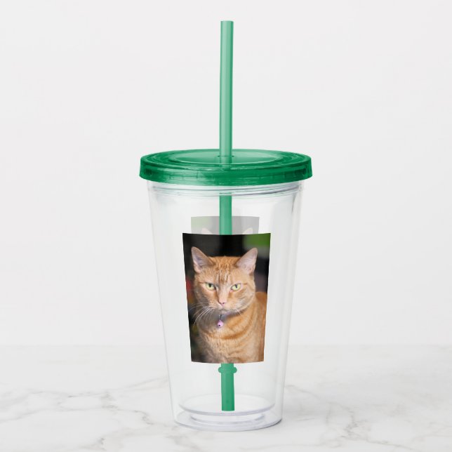 Copo De Acrílico Gato (Frente)