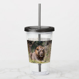 Copo De Acrílico Lions Tumbler