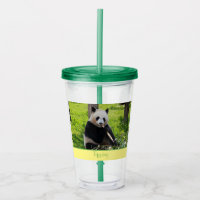 Panda Cutie