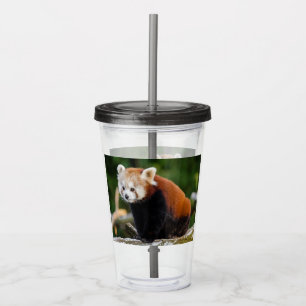Copo De Acrílico Panda Vermelha Custa