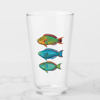 Copo De Pint Arco-íris, Rainha e Vidro de Parrotfish à Luz