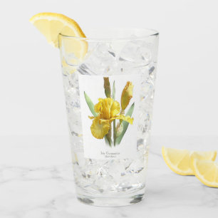 Copo De Pint Arte botânica da flor da íris amarela
