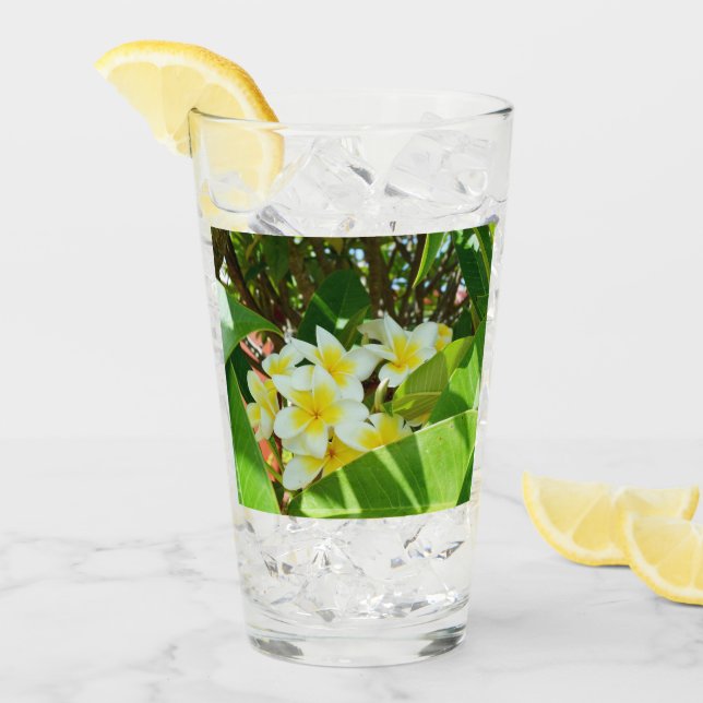 Copo De Pint Árvore Amarela Frangipani, Vidro De Bebida (Gelo frontal)