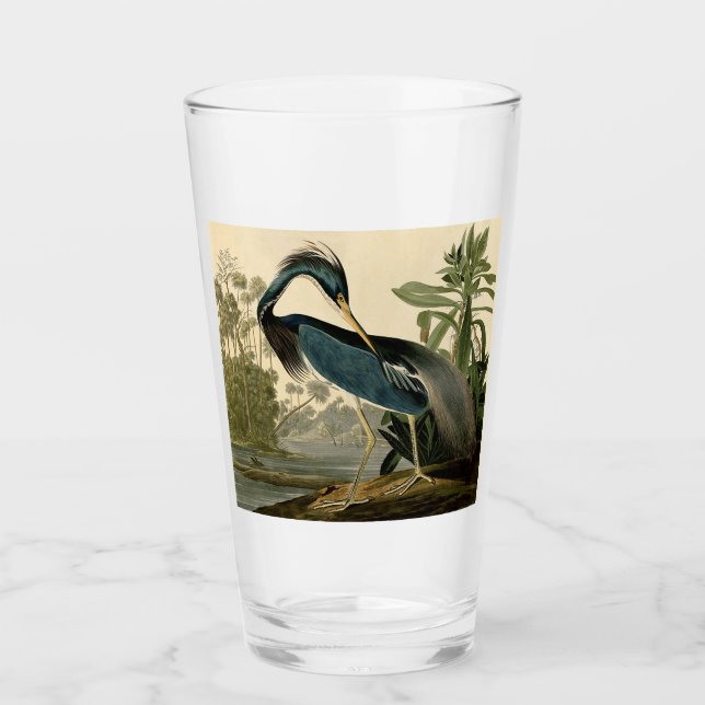 Copo De Pint Audubon Louisiana Heron Birds América Art (Frente)
