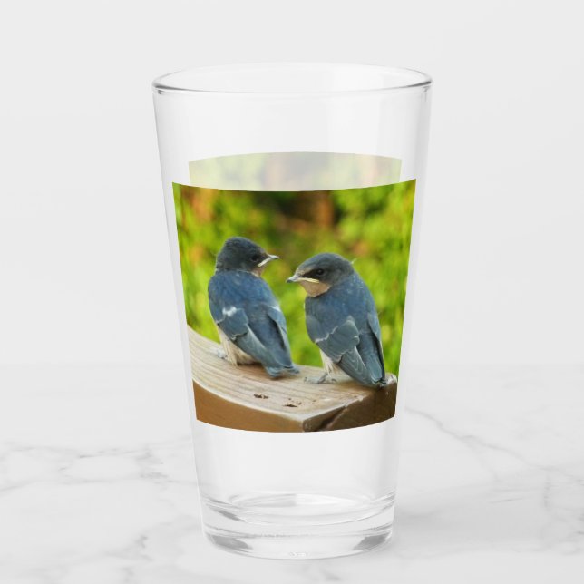 Copo De Pint Baby Barn Swallow Nature Bird Foto (Frente)