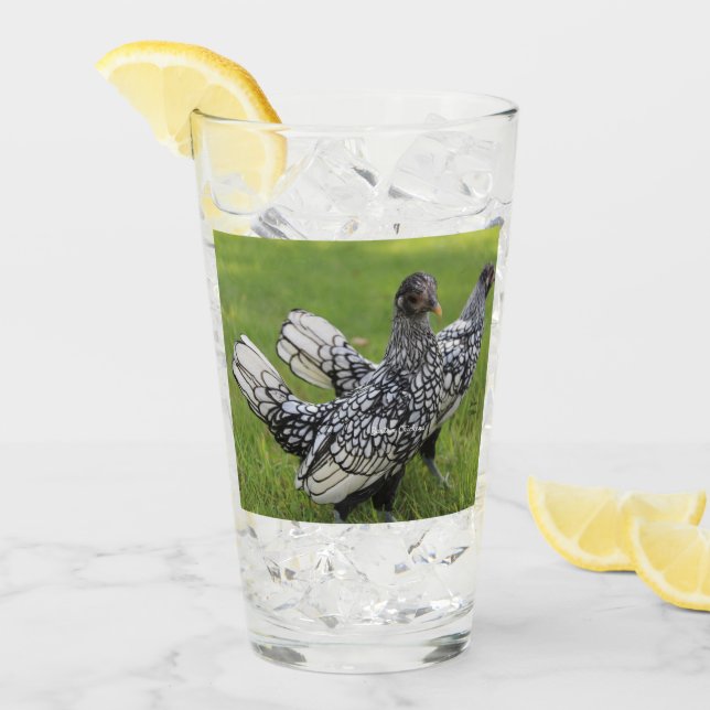 Copo De Pint Bebida para Colecionadores de Frangos Bantam Preto (Gelo frontal)