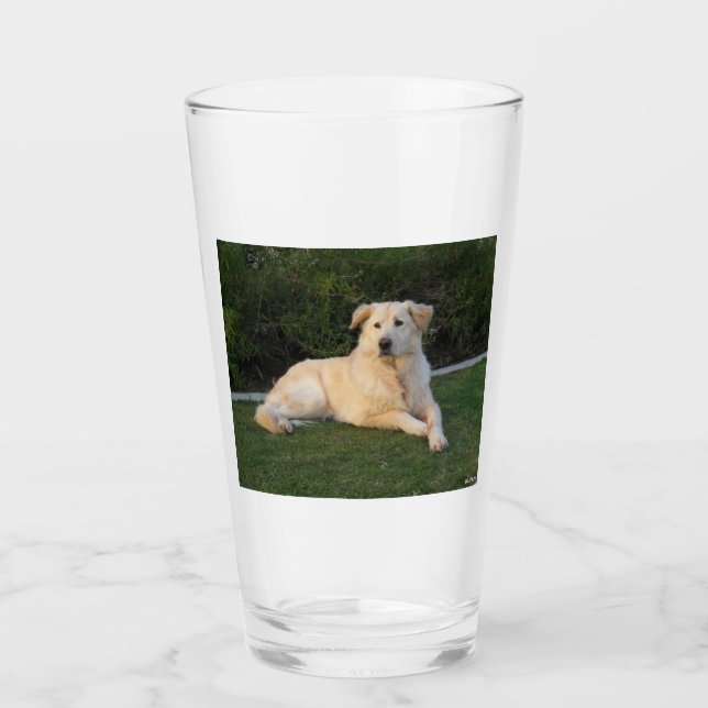 Copo De Pint Cachorro de Relaxamento (Frente)