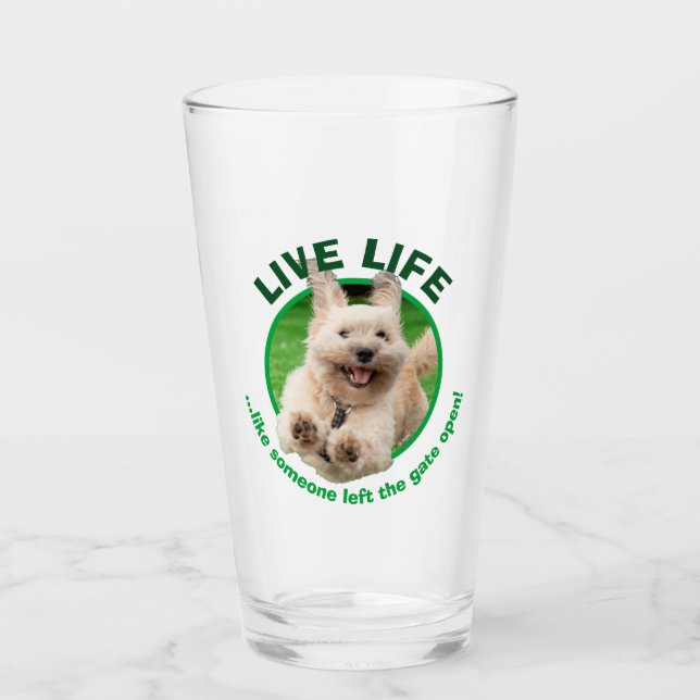 Copo De Pint Cachorro Em Jarda (Frente)