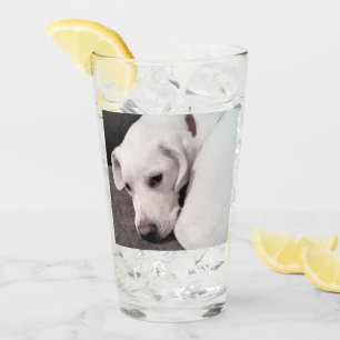 Copo De Pint Cachorro Mix de Labrador Retriever Branco Preguiço