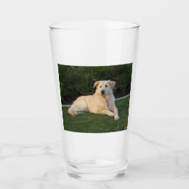 Copo De Pint Cachorro Relaxando