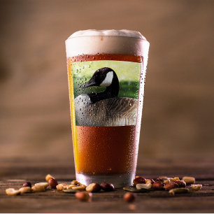 Copo De Pint Canadá Foto de Wildlife