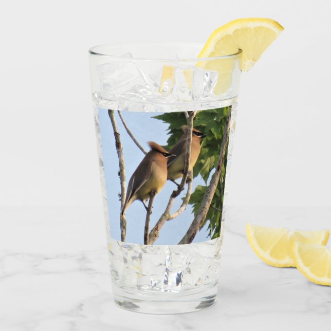 Copo De Pint Cedar Waxwing - Backyard Bird Series - Glass (Gelo traseiro)