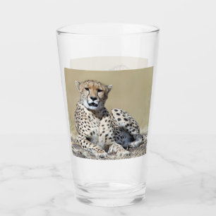 Copo De Pint Cheetah na foto de Masai Mara no Quênia